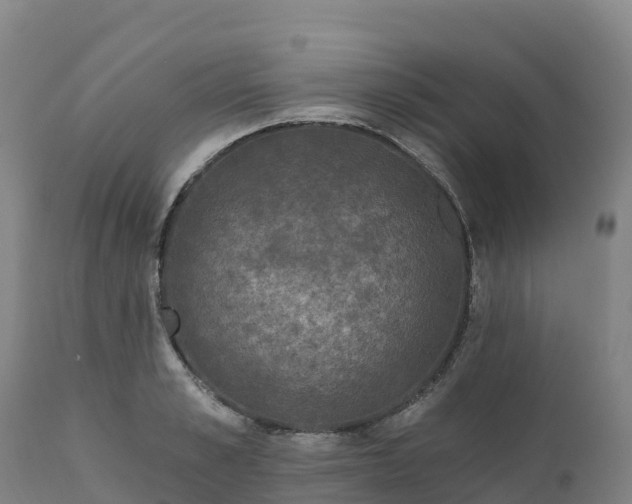 X0000112420989200908281834