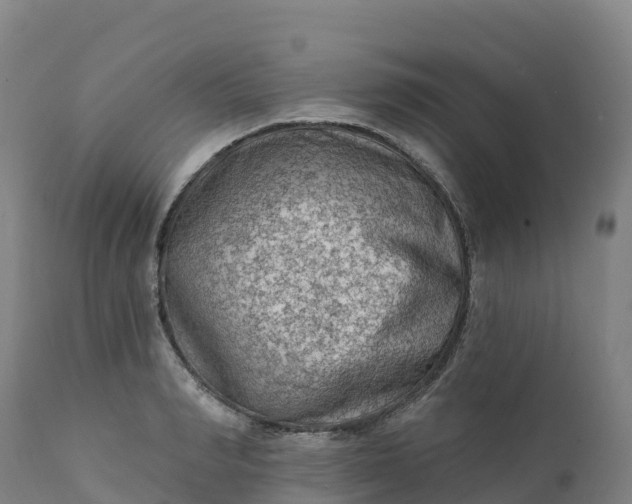 X0000112420990200908281834