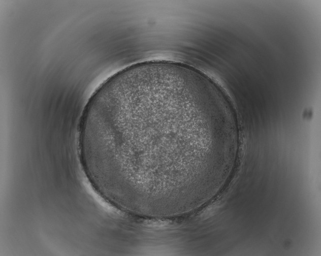 X0000112420991200908281834