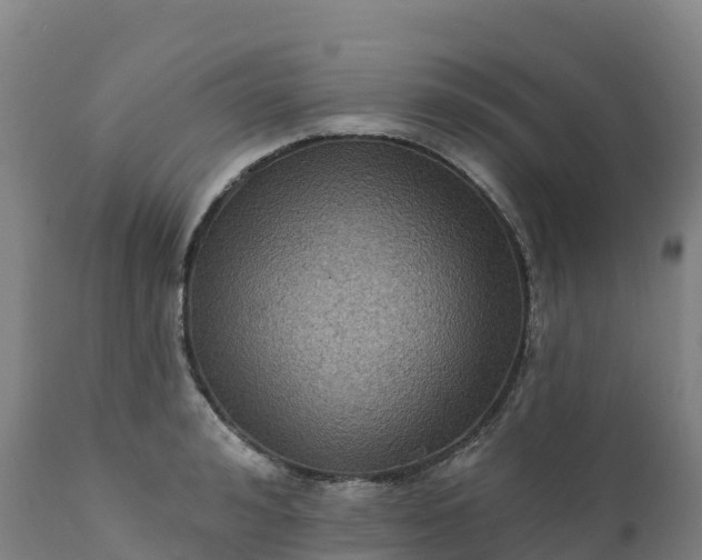 X0000112420992200908281834