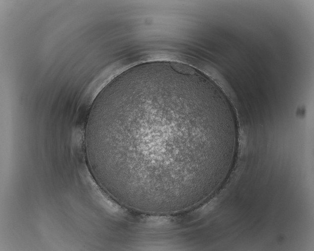 X0000112420993200908281834