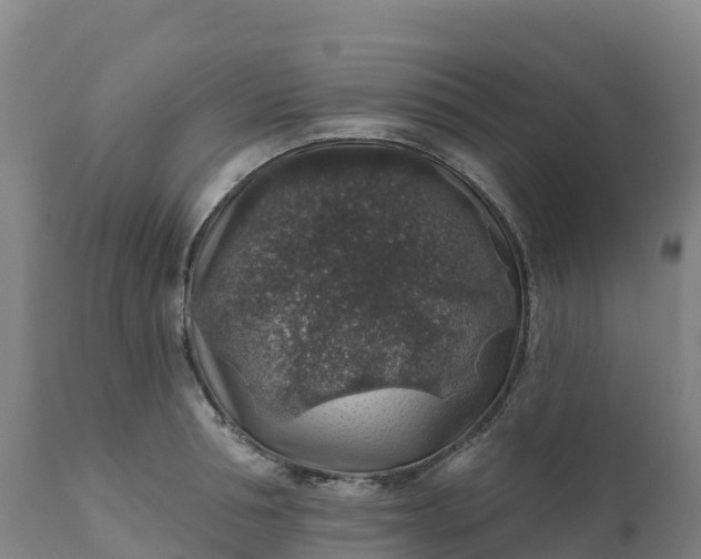 X0000112420994200908281834