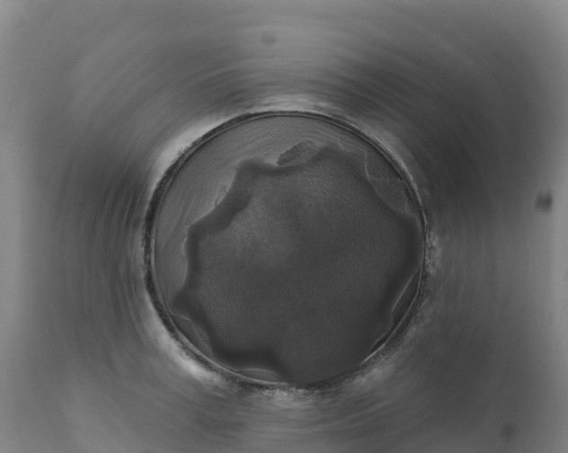 X0000112420995200908281834