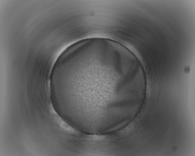 X0000112420996200908281834