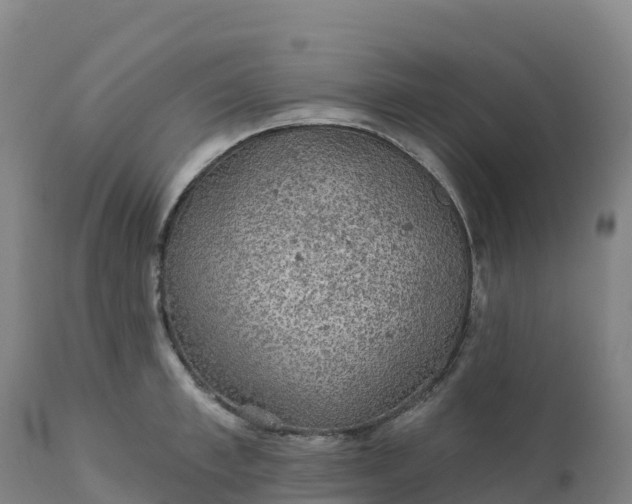 X0000112420997200908281834