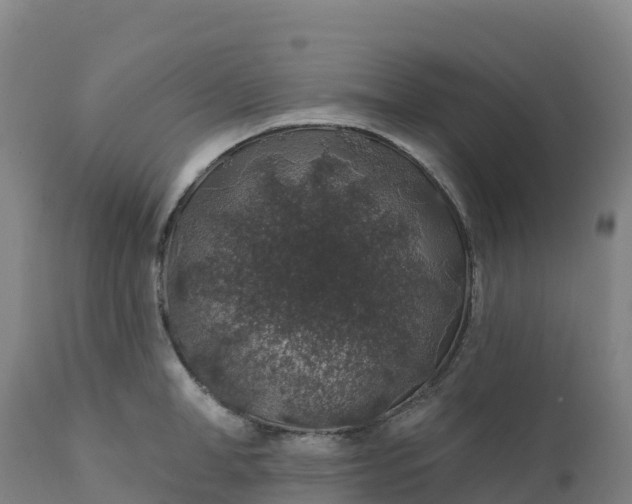 X0000112420998200908281834