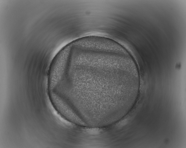 X0000112420999200908281834