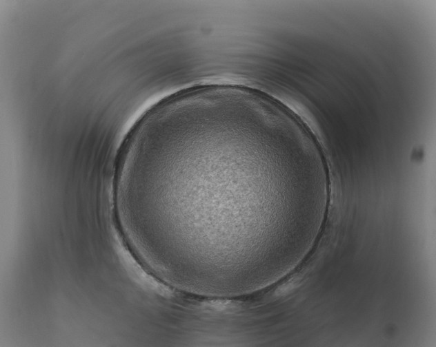 X0000112421000200908281834