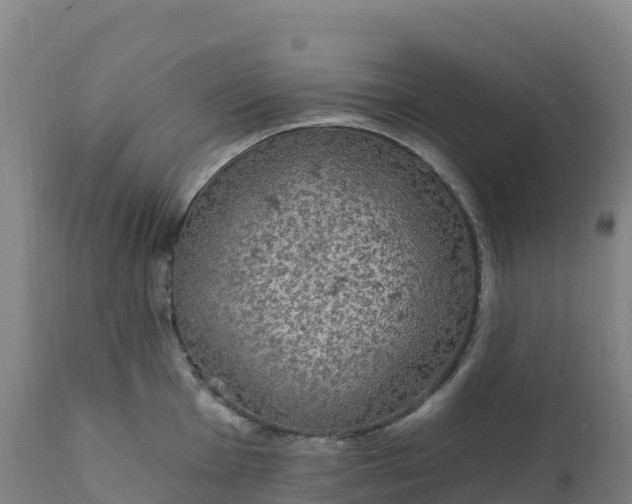 X0000112421001200908281834