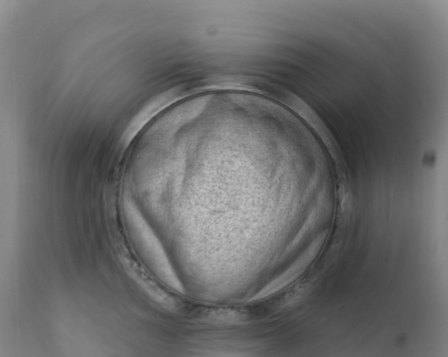 X0000112421002200908281834