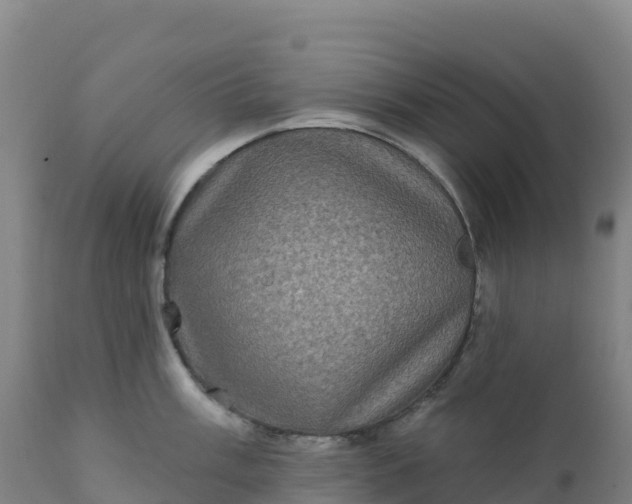 X0000112421003200908281834