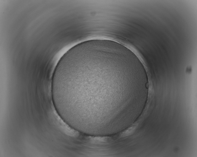 X0000112421004200908281834