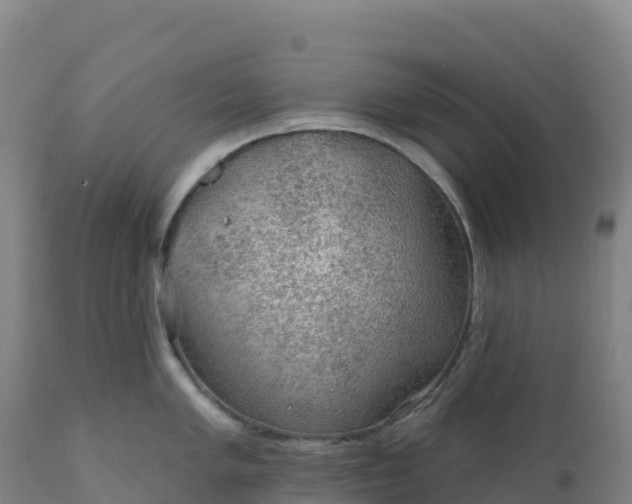 X0000112421005200908281834