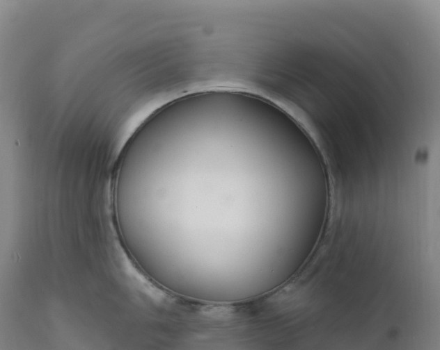 X0000112421006200908281834