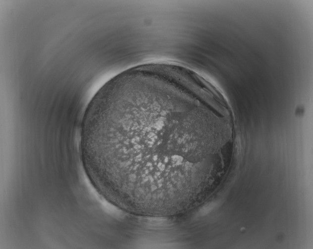 X0000112421007200908281834