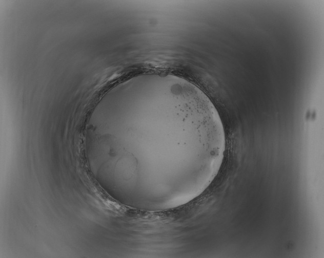 X0000112421009200908281833