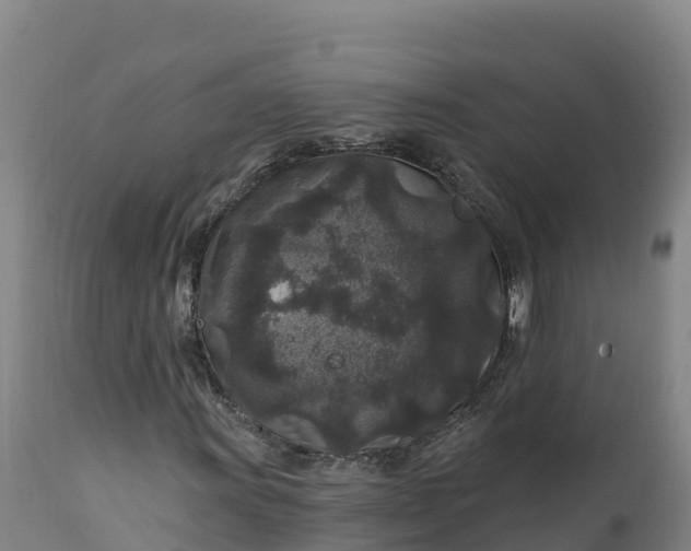 X0000112421011200908281833