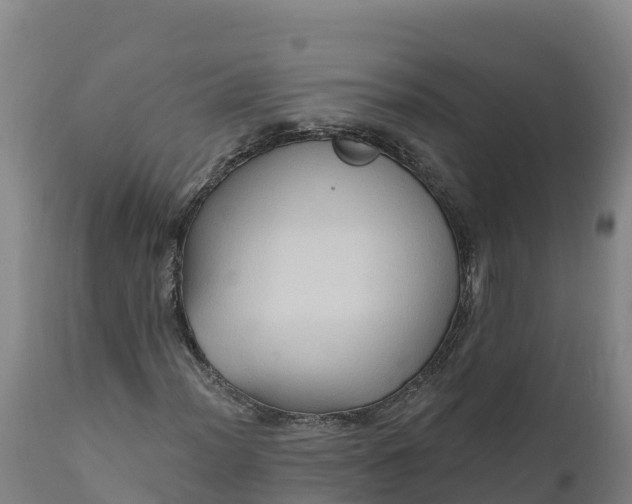 X0000112421012200908281833