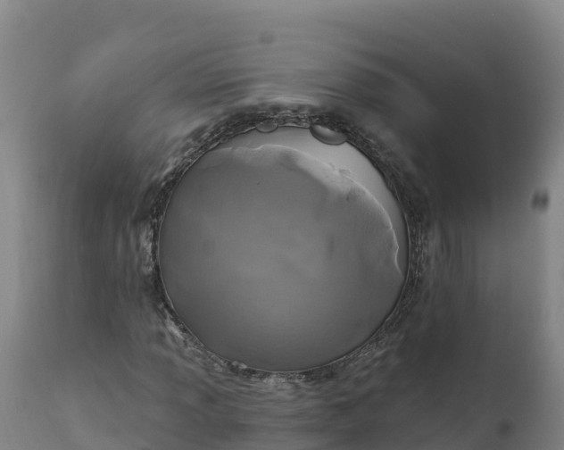 X0000112421013200908281833