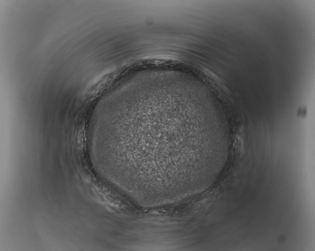 X0000112421014200908281833