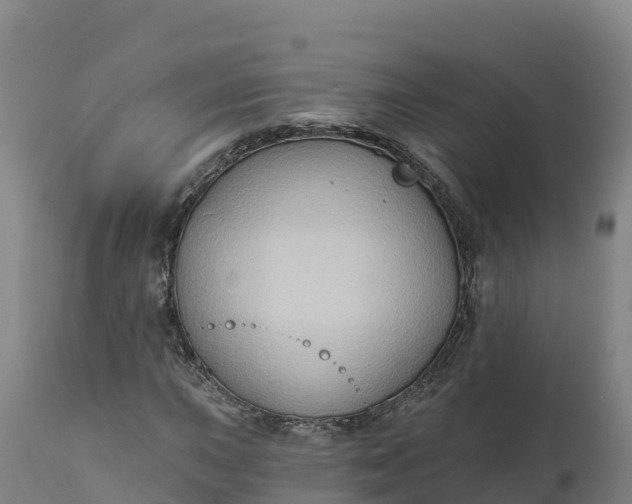 X0000112421015200908281833