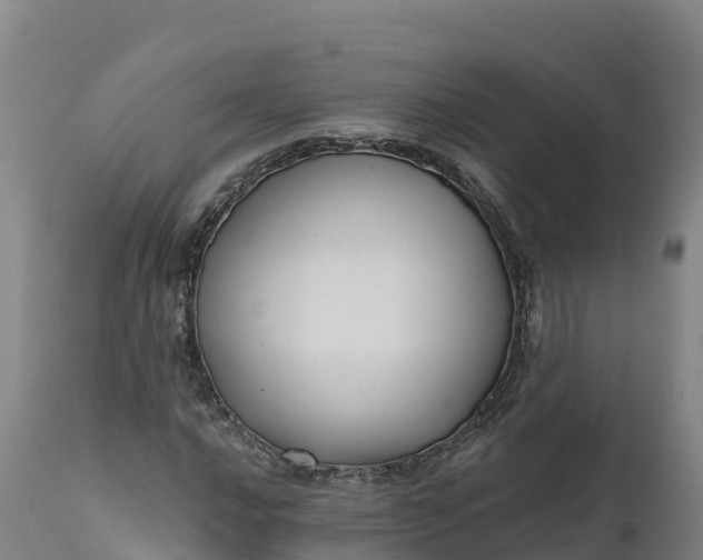 X0000112421016200908281833