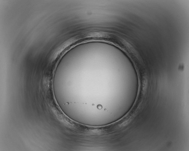 X0000112421017200908281833