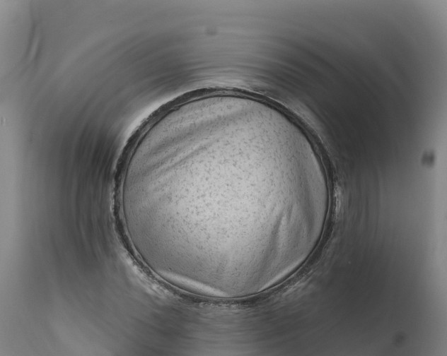 X0000112421020200908281833