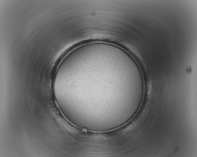 X0000112421021200908281833