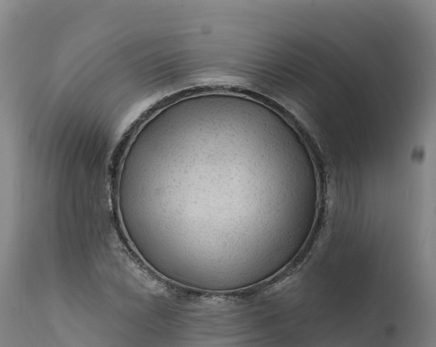 X0000112421022200908281833