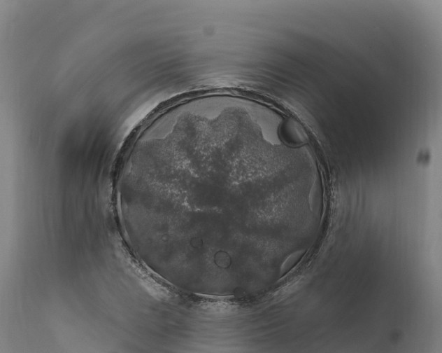 X0000112421023200908281833