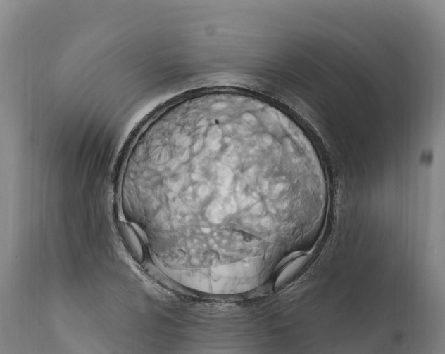 X0000112421024200908281833