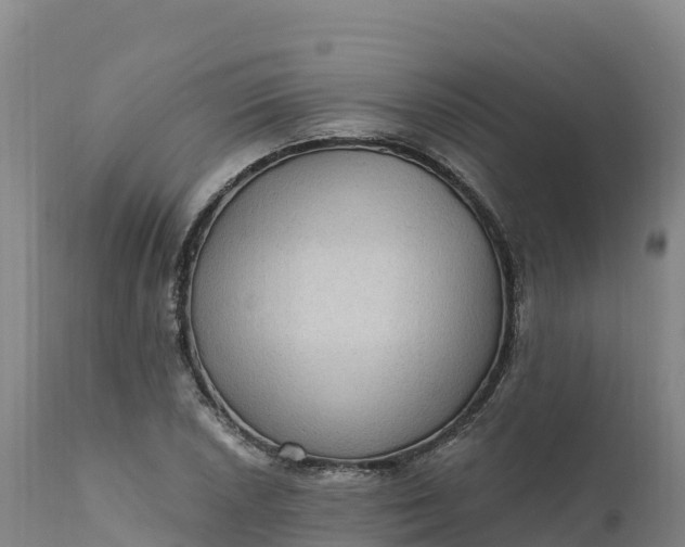 X0000112421026200908281833