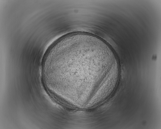 X0000112421028200908281833