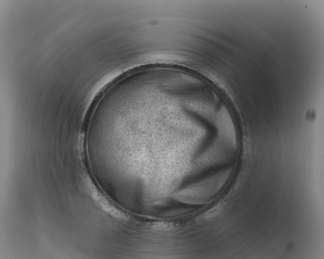 X0000112421029200908281833