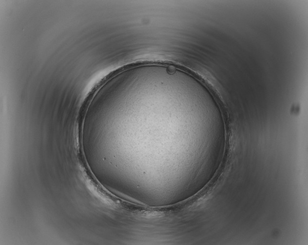 X0000112421030200908281833