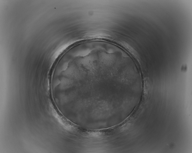 X0000112421031200908281833