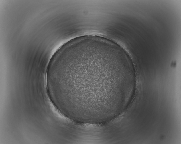 X0000112421032200908281833