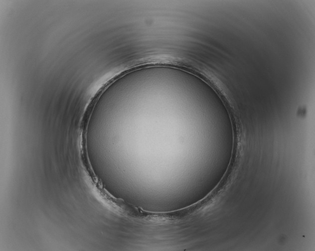 X0000112421034200908281833