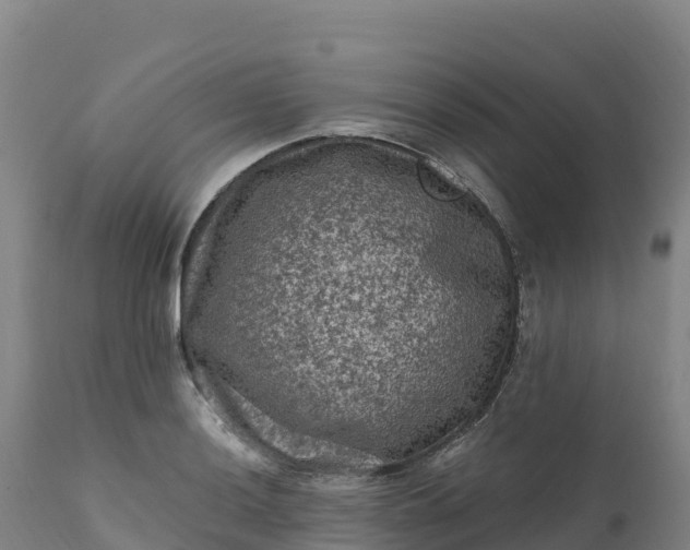 X0000112421036200908281833