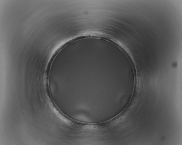 X0000112421037200908281833