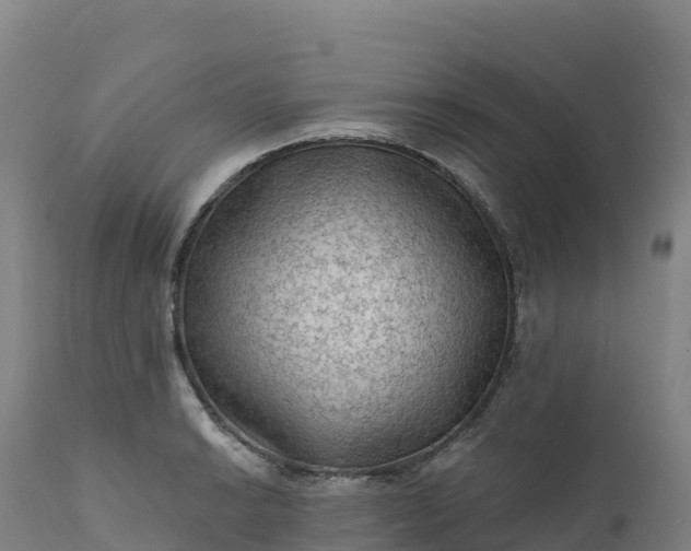 X0000112421038200908281833