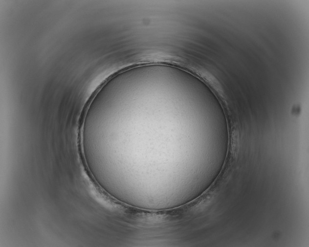 X0000112421039200908281833