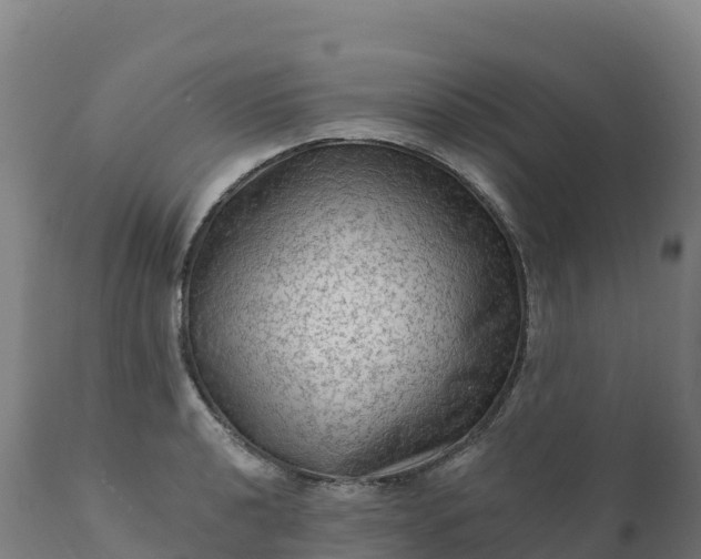 X0000112421040200908281833