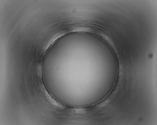 X0000112421041200908281833