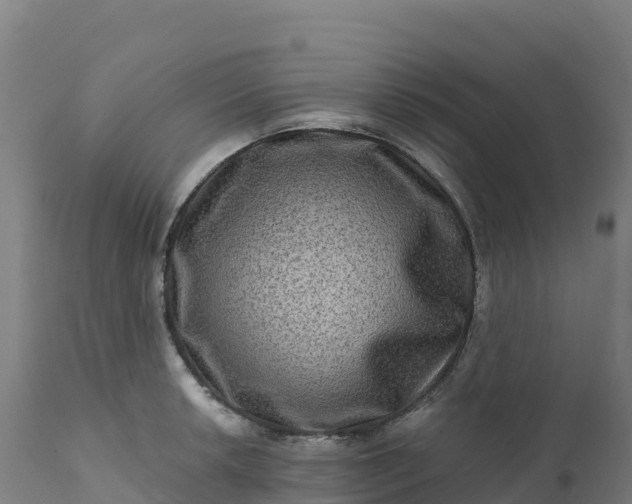 X0000112421042200908281834