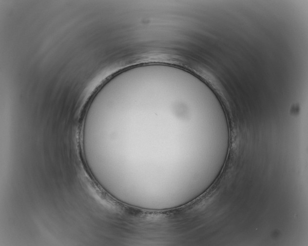 X0000112421043200908281834