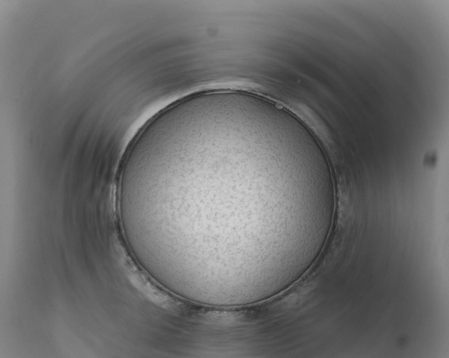 X0000112421044200908281834