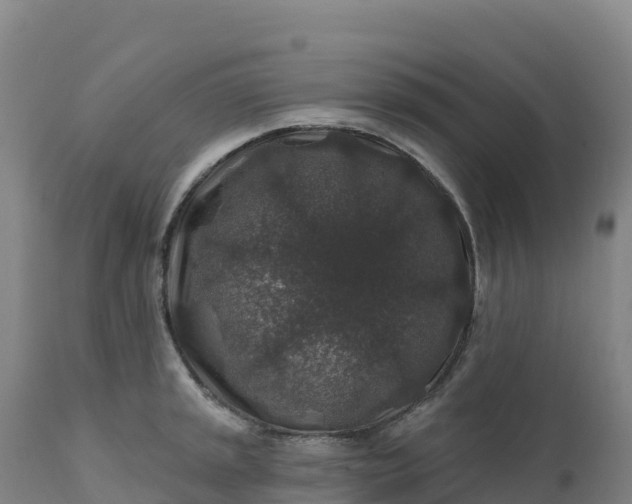 X0000112421045200908281834