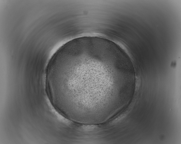 X0000112421046200908281834